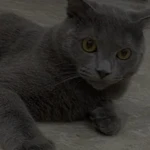 Ремонт\настройка компьютеров=ноутбуков=интернета