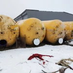 фото ёмкости металлические эмалированные объём 20 кубов