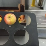 Фото №7 Яблоки Гала оптом от фуры.