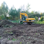 Фото №3 Спил деревьев. Выкорчевывание. Расчистка. Вывоз Спасск