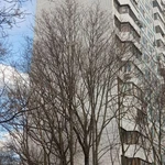 Фото №4 2-к квартира, 50 м2, 1/16 эт.