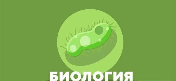 Фото Репетитор по биологии