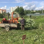 Дробление, переработка веток в щепу.Спилить дерево