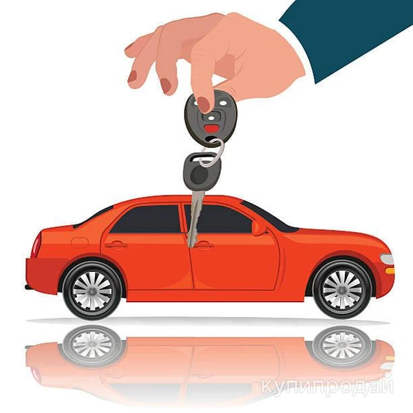 Фото Помощь сдать экзамен в ГИБДД после лишения