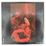 Фото №9 CD Red Hot Chili Peppers - Blood Sugar Sex Magik 1991 3+/5-, Japan (WPCP-4558)