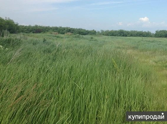 Фото Земельный участок сельхозназначения 700 гектар