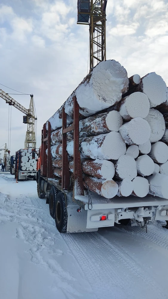 Фото Кедр кругляк продажа оптом.