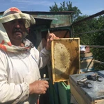 Фото №2 продам мед