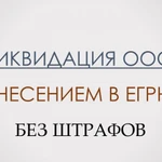 Помощь в ликвидации ООО ИП НКО