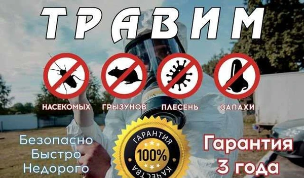 Фото Травим тараканов, клопов, блох. Гарантия Отзывы