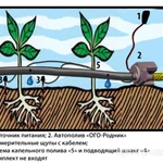 Фото №3 Набор - капельный полив + автополив с датчиком влажности почвы АКП-ОГО-Родник