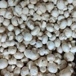 Фото №3 Грибы шампиньоны