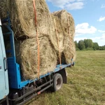 Фото №2 Сено