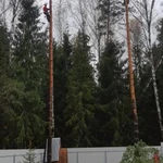 Фото №2 Спил деревьев