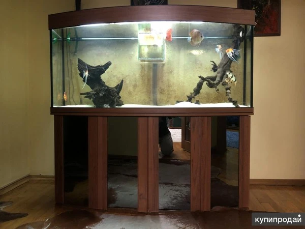 Фото Продам панорамный аквариум на 600 литров