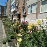 Фото №9 3-к квартира, 61 м2, 5/5 эт.