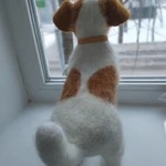 Фото №5 Джек Рассел