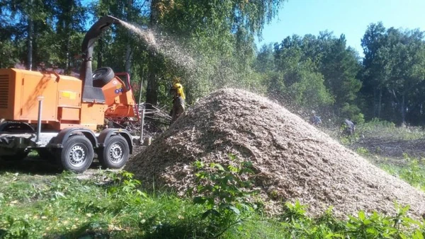 Фото Измельчитель веток и древесины. Аренда дробилки. Видное.