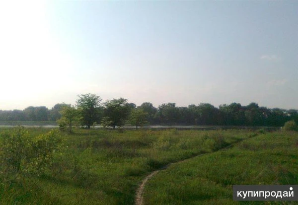 Продам 151 Га.