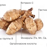 Фото №6 продам Топинамбур этого года не только для диабетиков и беременных ))