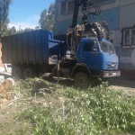 Фото №4 Вывоз спиленных деревьев - Ломовоз