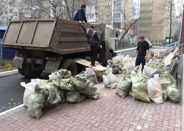Фото Вывоз мусора