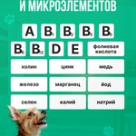 Фото №4 Корм для взрослых собак мелких пород Nuwak 2 КГ