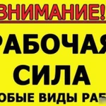 Фото №2 Квартирные Офисные переезды