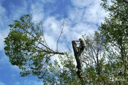 Фото Облагораживание участков