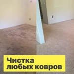 Фото №5 Аренда моющего пылесоса