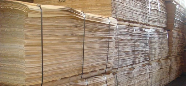 Фото Шпон сухой, влажностью 6–10%, размеры 2600×1300 мм, толщина от 0.3 до 2.2 м