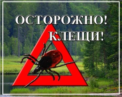 Фото Обработка территорий от клещей, комаров