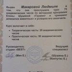 Фото №10 Груминг