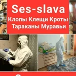 Уничтожение Клопов Тараканов Клещей Кротов Мышей