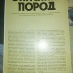 Фото №5 Все что нужно знать о кошках