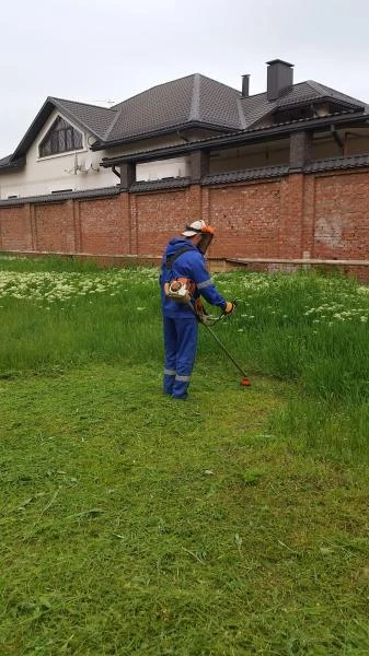 Фото П О К О С  Т Р А В Ы 
