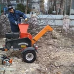 Фото №9 Спил Деревьев Новороссийск. Удаление, Обрезка