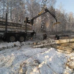 Фото №4 Услуги валки леса. расширение лэп 