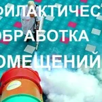 Уничтожение насекомых, грызунов, плесени