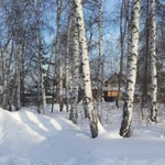 Фото №5 Продам участок Верхний Бор, снт Тура