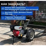 Фото №4 Мотоблок NEW sich MB-13 havert D188