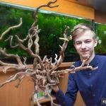 Фото №9 Коряги для аквариумов и террариумов, цетрария.