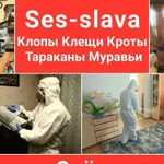 Уничтожение Клопов Тараканов Клещей Кротов Мышей