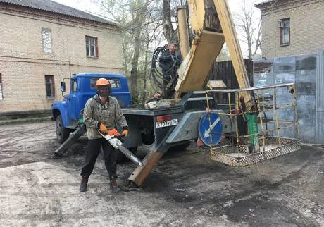 Фото Удаление деревьев Воронеж