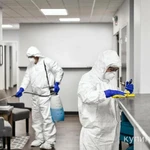 Фото №6 ОБРАБОТКА ОТ КОМАРОВ,КЛОПОВ И КЛЕЩЕЙ,ТАРАКАНОВ