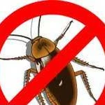 Уничтожение насекомых на участках и в квартирах