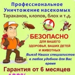 Дезинсекция. Профессиональное уничтожение насекомы