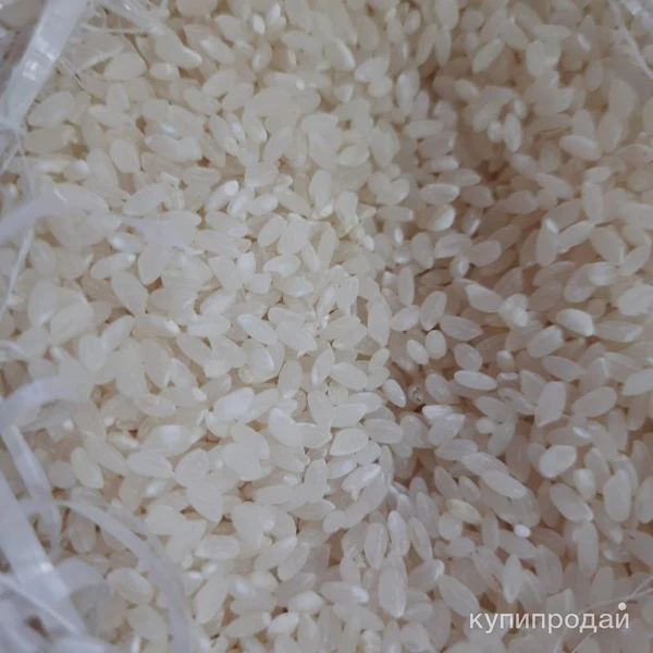 Фото Шлифованный рис