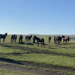 Фото №5 Поездки по Кавказу 