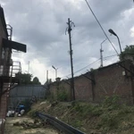 Фото №9 Спил деревьев любой сложности 